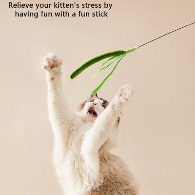 Playing with a kitten holding a fun stick to relieve emotional stress, promoting pet play therapy for stress relief and emotional well-being.