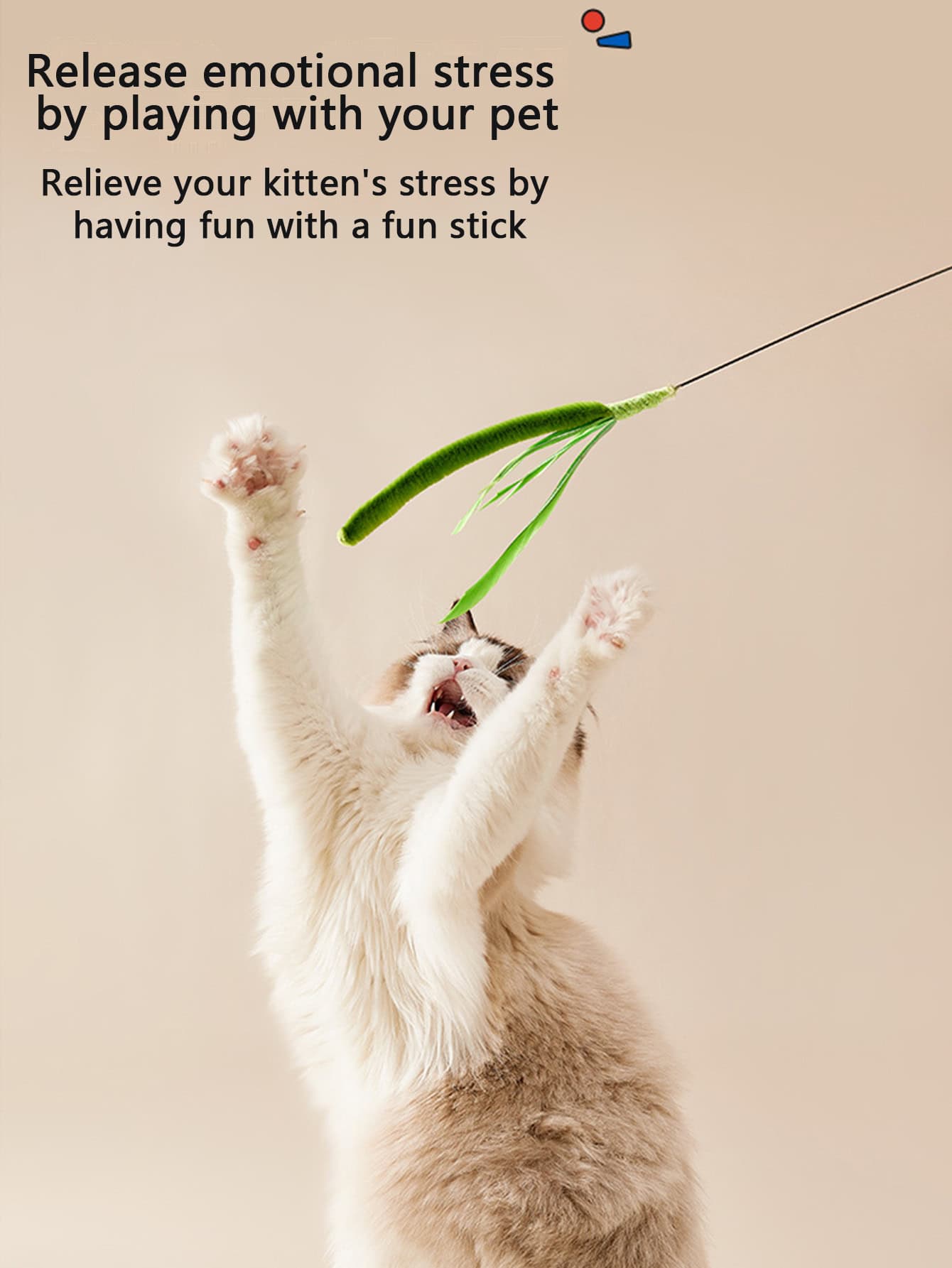 Playing with a kitten holding a fun stick to relieve emotional stress, promoting pet play therapy for stress relief and emotional well-being.