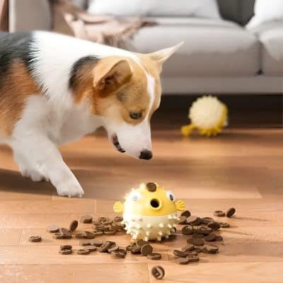 Yellow spiked dog toy with eyes and scattered chocolate candies on wooden floor.