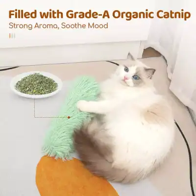 Fresh organic catnip on a white plate, adorable Ragdoll cat lying on a soft surface, capturing a cozy cat store scene with premium catnip products, perfect for cat enthusiasts and pet owners looking for natural pet treats.