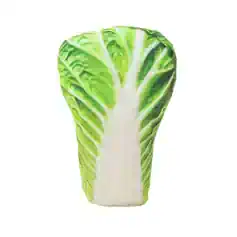 Fresh Asian lettuce leaf for healthy salads and sandwiches, vibrant green, crunchy texture, organic produce.
