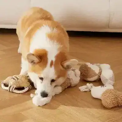 Cute puppy chewing plush toys on hardwood floor, showcasing playful and adorable pet moments.