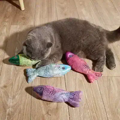 Rainbow-colored fish plush toys with realistic details lying on wooden floor next to a gray cat, showcasing playful pet accessories from Monalisa Store.