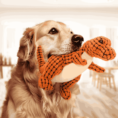 Dog holding plush toy in mouth, indoor setting, promoting pet accessories and toys on Monalisa Store website.