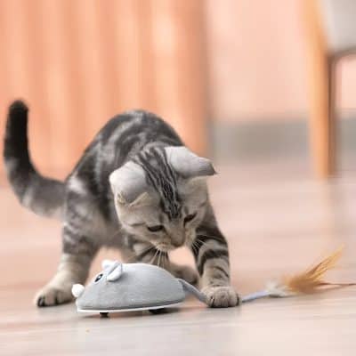 Playful kitten batting at a mouse-shaped pet toy for entertainment and enrichment. Perfect for cat lovers seeking high-quality pet accessories from Monalisa Medical.