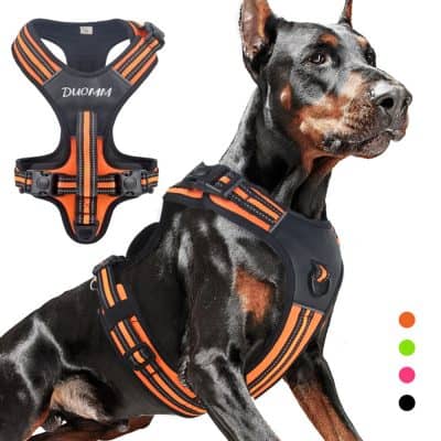 Reflective black and orange dog harness with adjustable straps, sturdy buckles, and breathable design for comfort and safety during walks. Ideal for training and outdoor activities.