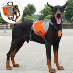 Reflective dog backpack with adjustable straps for outdoor hiking and training, designed for safety and comfort, ideal for active dogs on adventures.