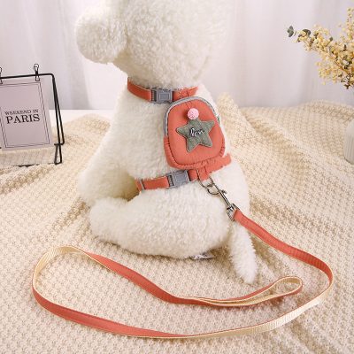 Cute white plush dog wearing pink harness and backpack, sitting on a cozy beige blanket with decorative flowers and a Paris-themed photo frame in the background.