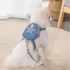Miniature white Pomeranian dog wearing a cute blue backpack with star and love patches, indoors in a cozy home setting.