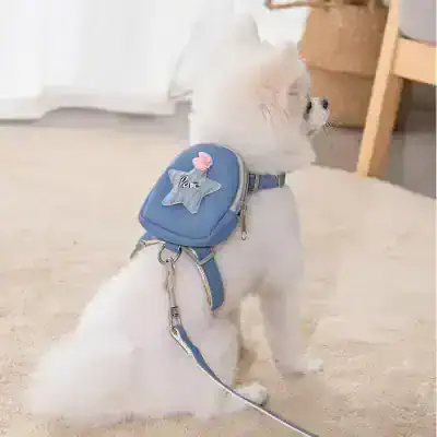 Miniature white Pomeranian dog wearing a cute blue backpack with star and love patches, indoors in a cozy home setting.