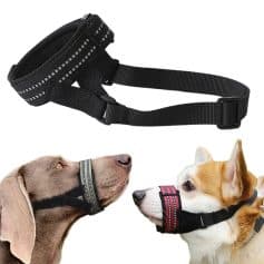 High visibility reflective belt for safety and outdoor use, pet collar for dogs, adjustable nylon strap, ideal for walking and training, durable and comfortable fit, Monalisa Store opt pet accessories.
