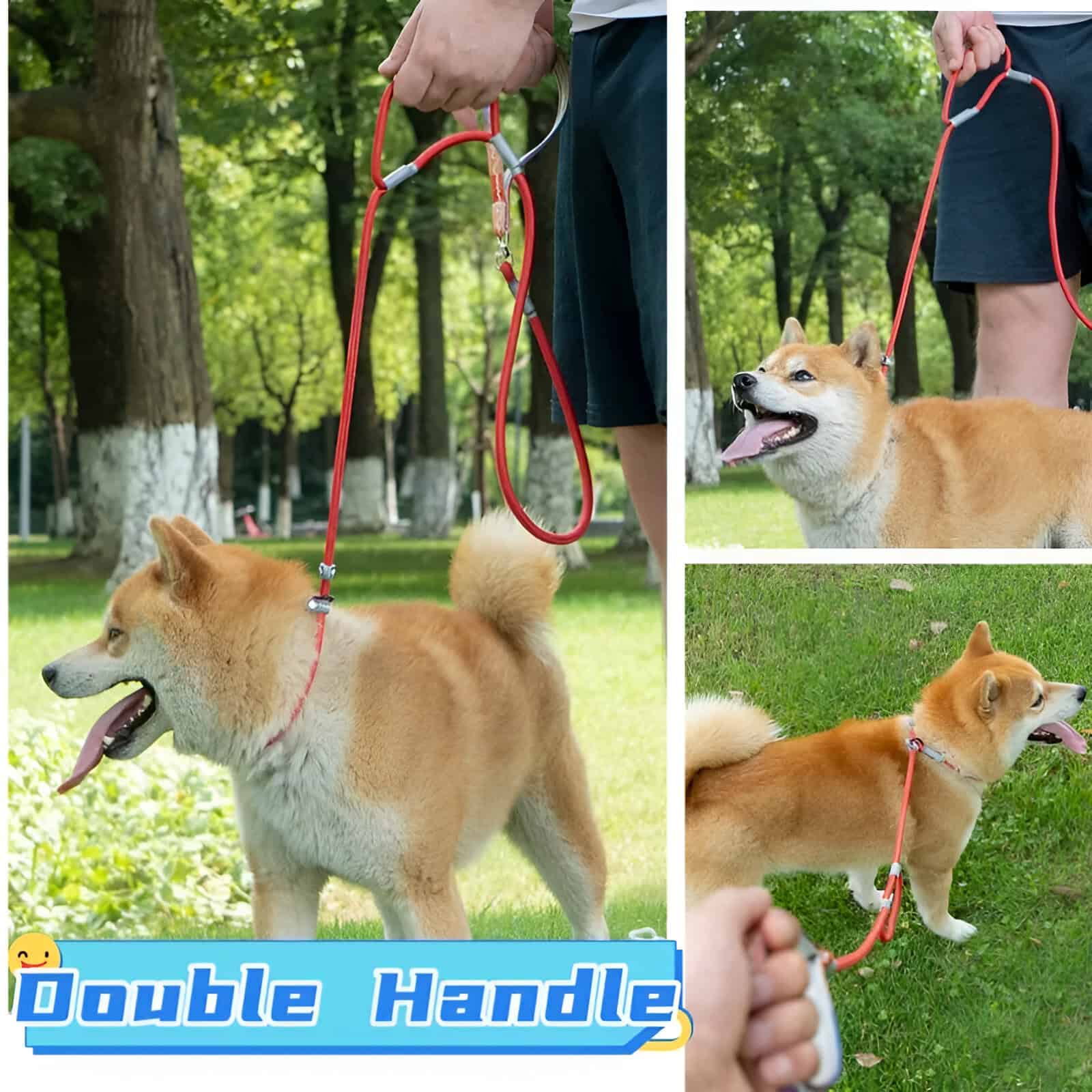 High-quality dog leash with double handles for secure control during walks, featuring a comfortable grip and durable design suitable for outdoor activities with pets.