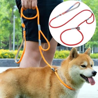Dog leash with adjustable collar for pet walking, made of durable material, suitable for outdoor activity, featured in vibrant orange color.