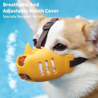 Dog wearing breathing and adjustable dog mouth cover mask, safety pet face mask for dogs, Monalisa Medical product, breathable pet mask for protection, dog mask with ventilation slots, dog safety gear for outdoor activities, pet health and safety accessories, dog mask for allergy and dust protection, pet wellness product for dogs, comfortable pet breathing mask, durable and adjustable dog mask for outdoor safety, breathable pet face cover, Monalisa Store dog accessory product, outdoor dog mask for health protection, high-quality pet safety equipment.