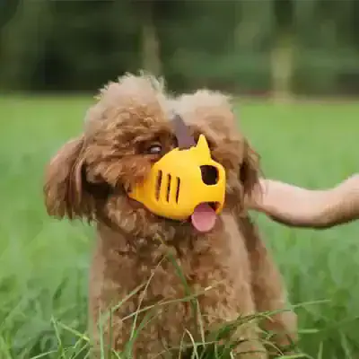 Yellow dog muzzle for pet safety and training, protecting dogs during walks, grooming, and vet visits, ensuring a comfortable fit for small to large breeds, ideal for dog owners and trainers.