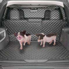 Piglets in a car trunk with a cargo net and mat, showcasing pet accessories from Monalisa Store for safe and stylish pet travel.