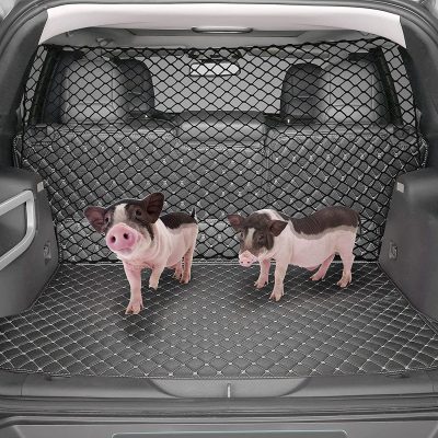 Piglets in a car trunk with a cargo net and mat, showcasing pet accessories from Monalisa Store for safe and stylish pet travel.