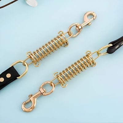 Shiny gold coil and clasp dog leash with black handle on light blue background, premium quality pet accessories, stylish and durable leash for various dog sizes.