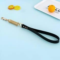 Miniature dog leash with black strap and gold hardware on pastel blue background, accompanied by lemon and orange slices and a lottery ticket with a lemon. Ideal for pet accessories, fashion, and lifestyle content.