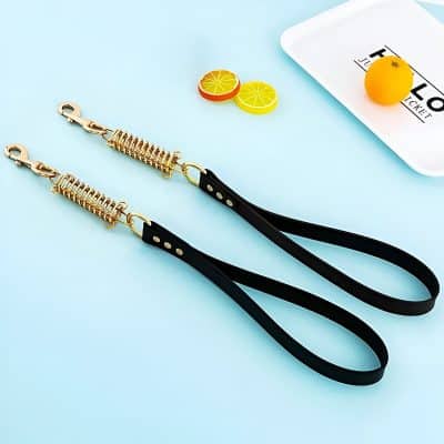 Stylish black and gold pet leashes on a light blue surface, perfect for dog walking, with a lemon and orange slice decorative accents, showcasing trendy pet accessories.