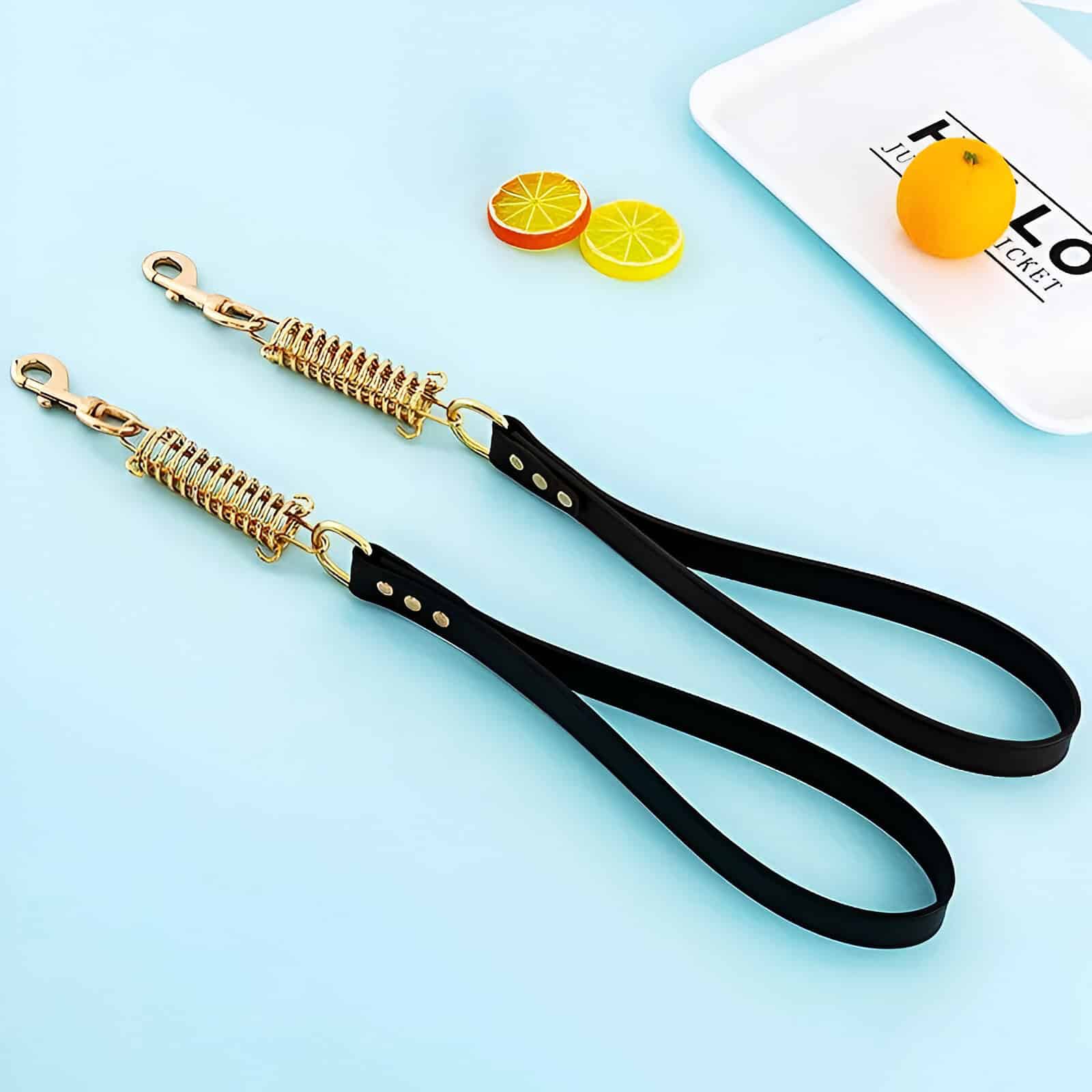 Stylish black and gold pet leashes on a light blue surface, perfect for dog walking, with a lemon and orange slice decorative accents, showcasing trendy pet accessories.