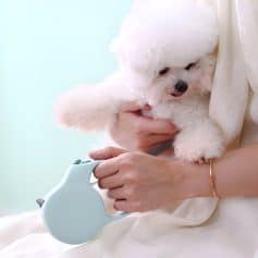 Cute white Bichon Frise puppy being examined with a handheld medical device at Monalisa Store for pet health.