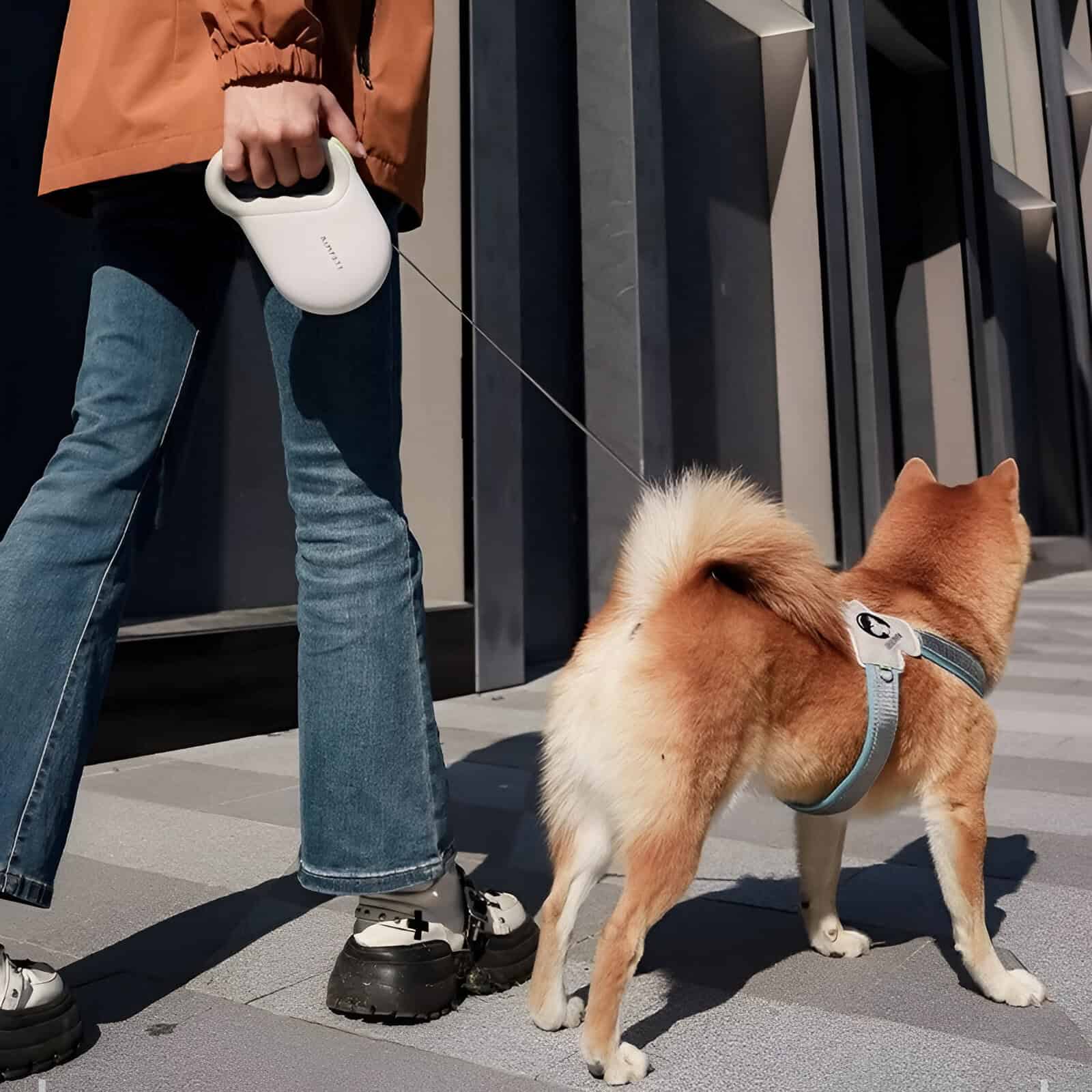 Portable dog sterilizer device being used during a walk with a Shiba Inu dog at Monalisa Store.