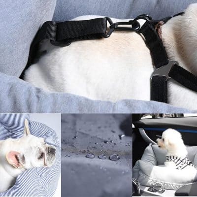 Dog harness with black adjustable straps, secure clip, and lightweight design for pet safety and comfort.