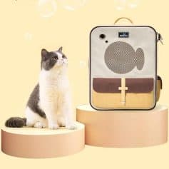 Portable cat carrier with mesh window and zipper closure for pet travel, displayed alongside a cute gray and white cat on a pastel background.