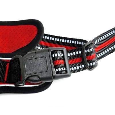 Durable black and red pet harness with adjustable strap and secure plastic buckle, ideal for outdoor walking and pet safety.