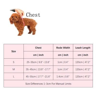 Cute small brown poodle with harness being measured for fit, adorable pet apparel, dog clothing and accessories at Monalisa Store.