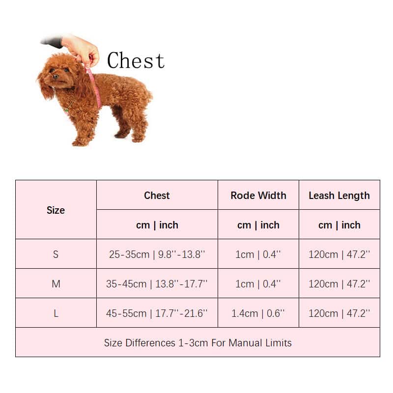 Cute small brown poodle with harness being measured for fit, adorable pet apparel, dog clothing and accessories at Monalisa Store.