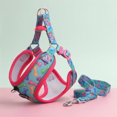 Colorful dog harness and leash set featuring bone pattern, adjustable straps, breathable mesh material, and secure metal clips, ideal for pet safety and comfort.