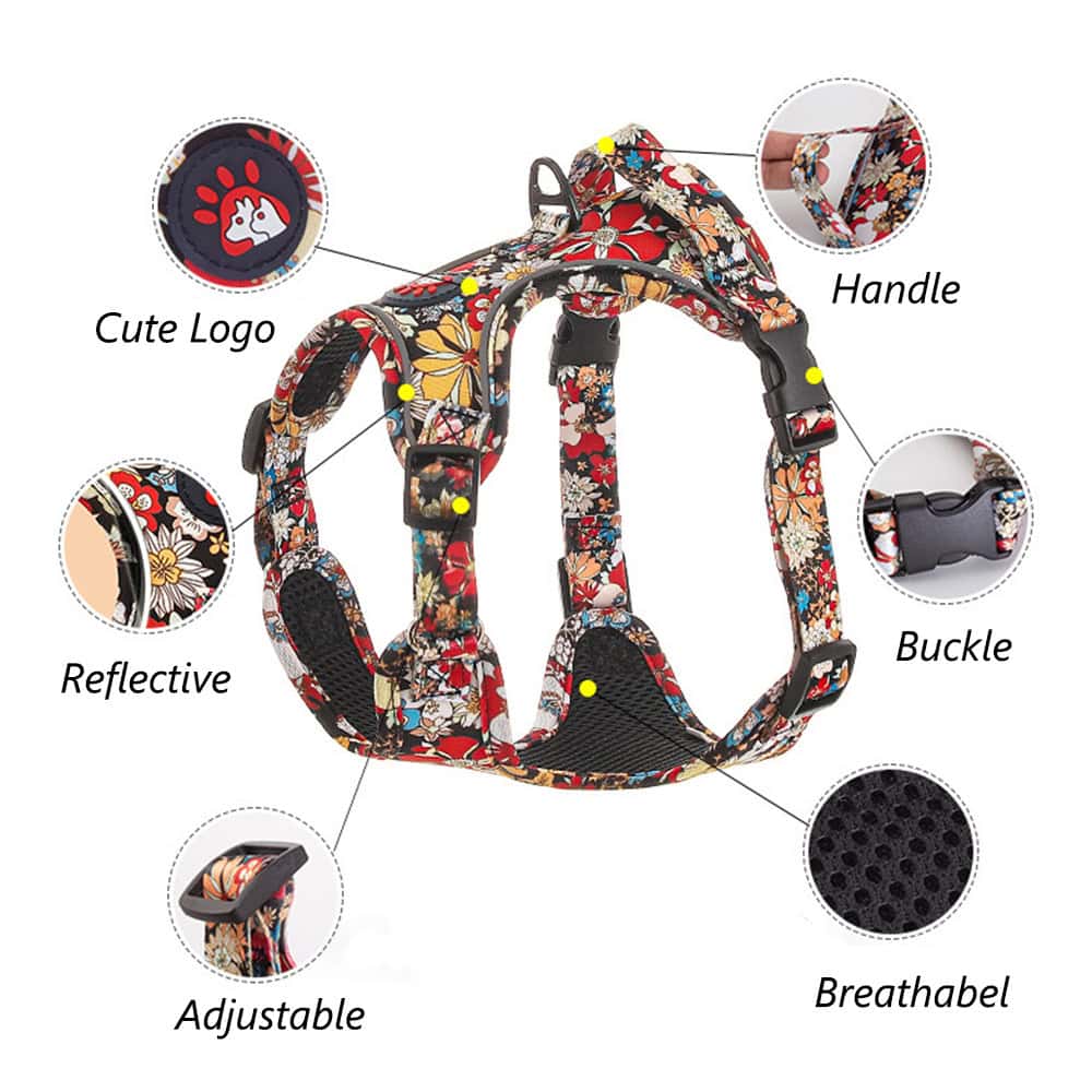Colorful floral pet harness with adjustable strap, buckle, handle, reflective accents, breathable mesh, and cute logo for comfortable, safe outdoor walks with dogs.