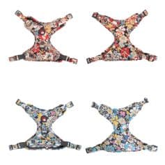 Floral pet harness, fashionable and adjustable for small to medium dogs, with colorful flower print for comfortable and secure outdoor walks.