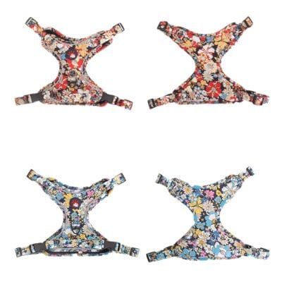 Floral pet harness, fashionable and adjustable for small to medium dogs, with colorful flower print for comfortable and secure outdoor walks.