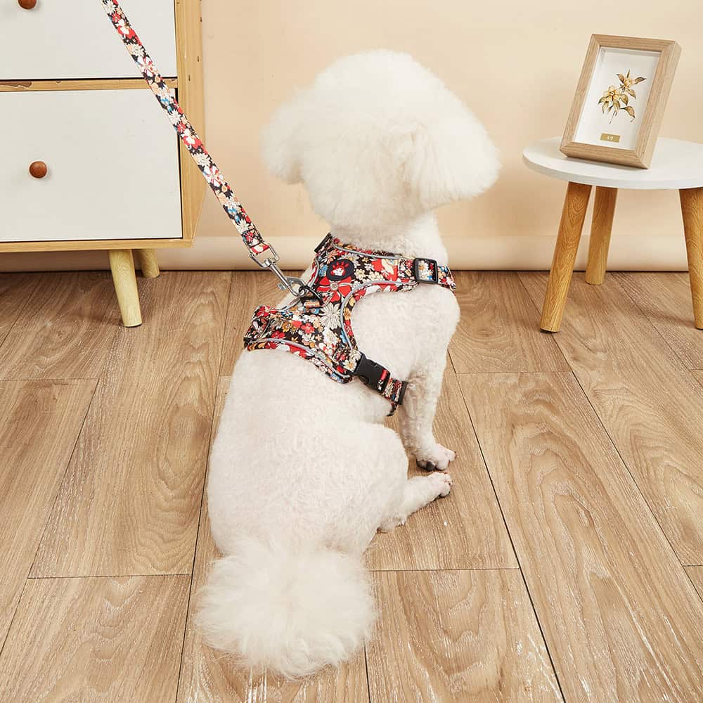 Cute white poodle wearing floral harness at Monalisa Medical Store, showcasing stylish pet accessories in a cozy indoor setting.