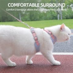 Comfortable cat harness for secure and gentle outdoor walks, made with soft, adjustable straps for optimal fit and freedom of movement. Perfect for pet owners seeking safe, stylish pet accessories.