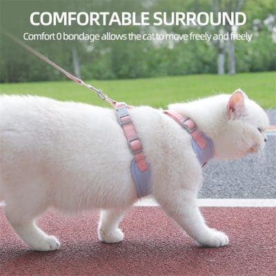 Comfortable cat harness for secure and gentle outdoor walks, made with soft, adjustable straps for optimal fit and freedom of movement. Perfect for pet owners seeking safe, stylish pet accessories.