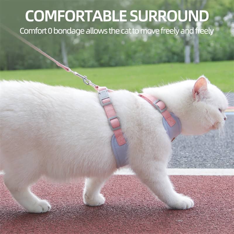 Comfortable cat harness for secure and gentle outdoor walks, made with soft, adjustable straps for optimal fit and freedom of movement. Perfect for pet owners seeking safe, stylish pet accessories.