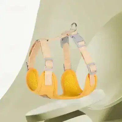 Climbing harness for children safety gear for kids outdoor activities and adventure sports at Monalisa Medical Store.