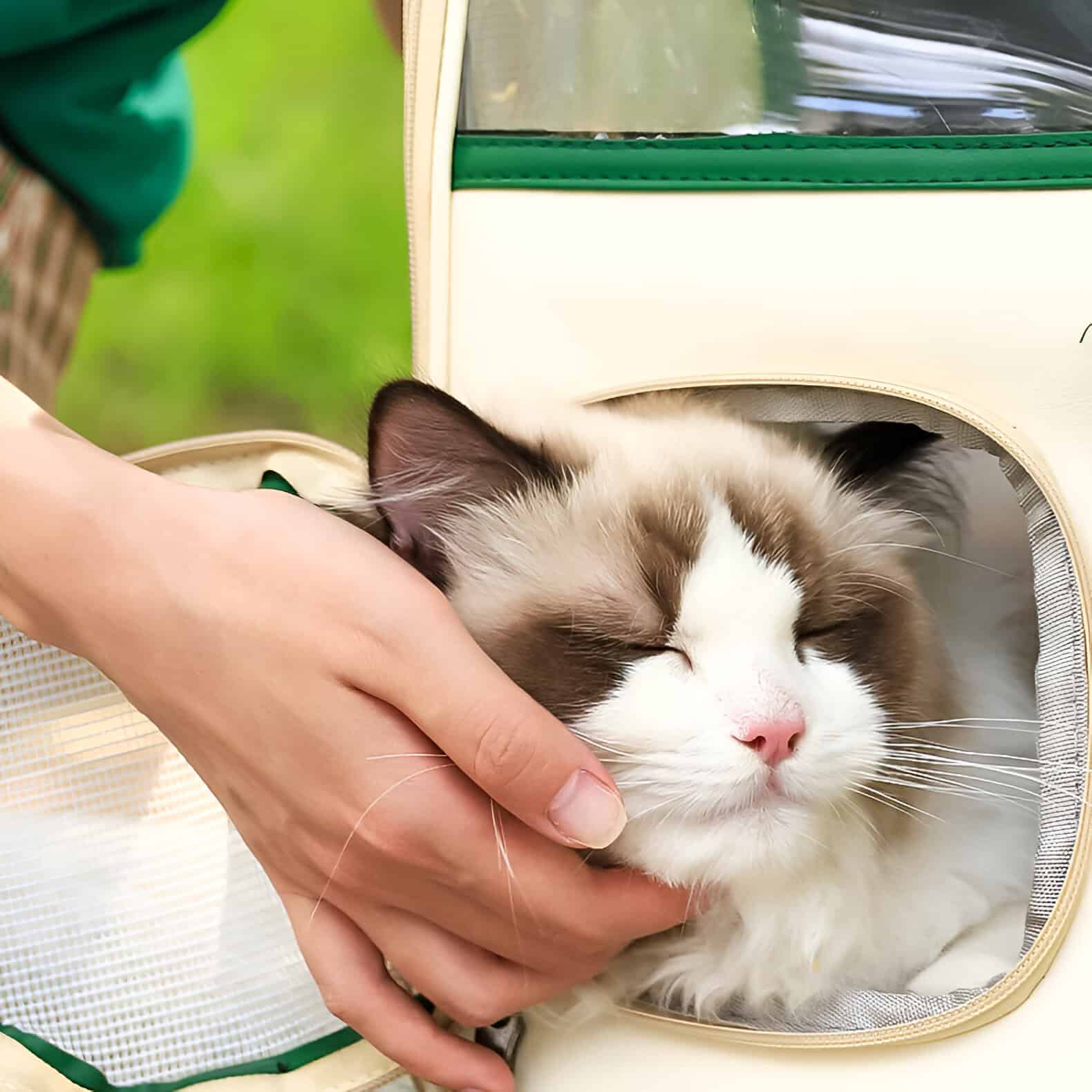 Ultra-quiet cat carrier with ventilation for comfortable pet travel, suitable for cats and small animals, featuring soft interior for cozy rest during journeys.