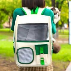 Dog carrier backpack with pet air holes, worn by a woman on a park walk, ideal for transporting small animals comfortably and securely.