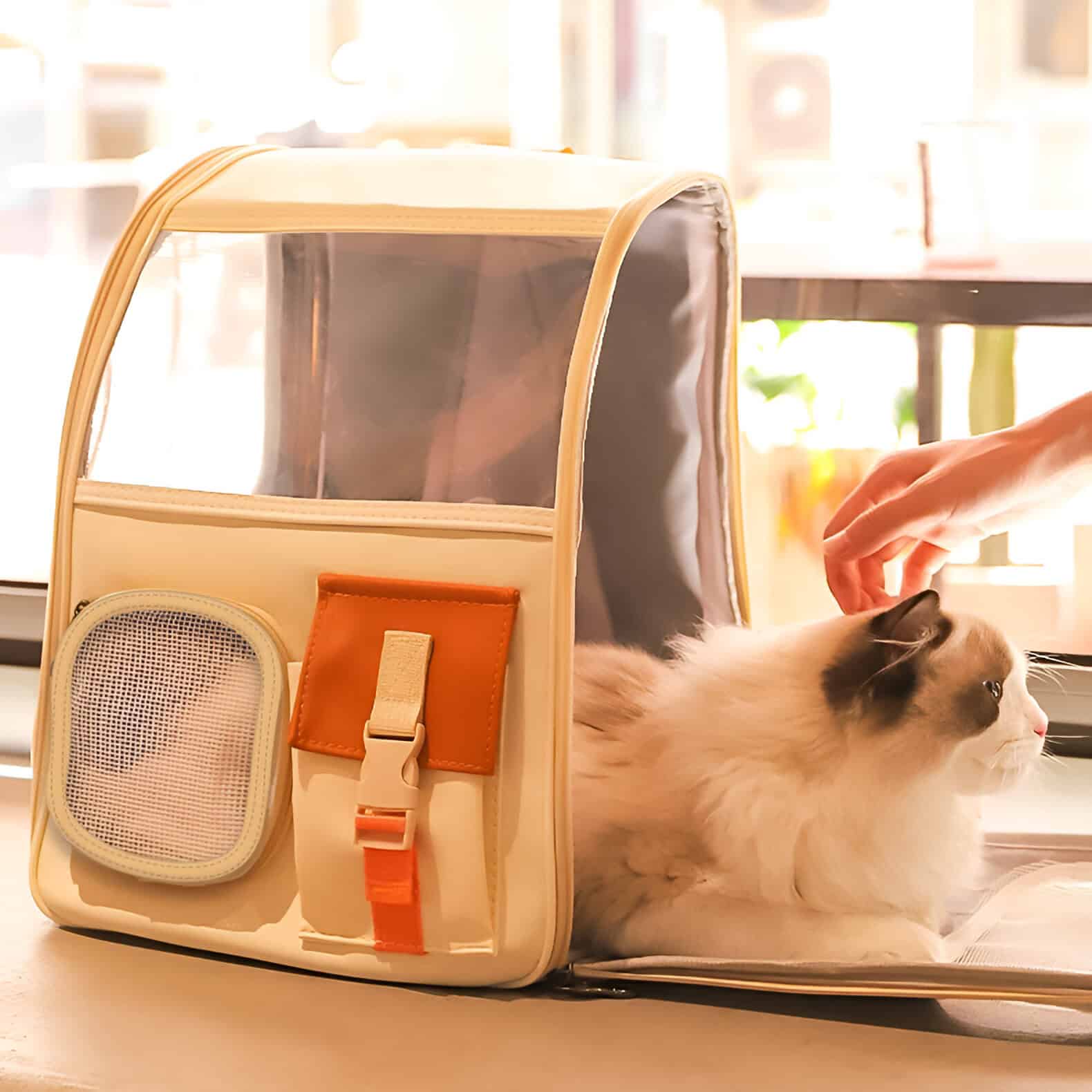 Stylish pet carrier bag with transparent window and ventilation mesh, ideal for transporting cats comfortably.