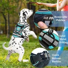 Bright blue service dog harness with removable patches, solid metal D-ring, quick release buckles, and sturdy design for confident pet training and outdoor adventures.