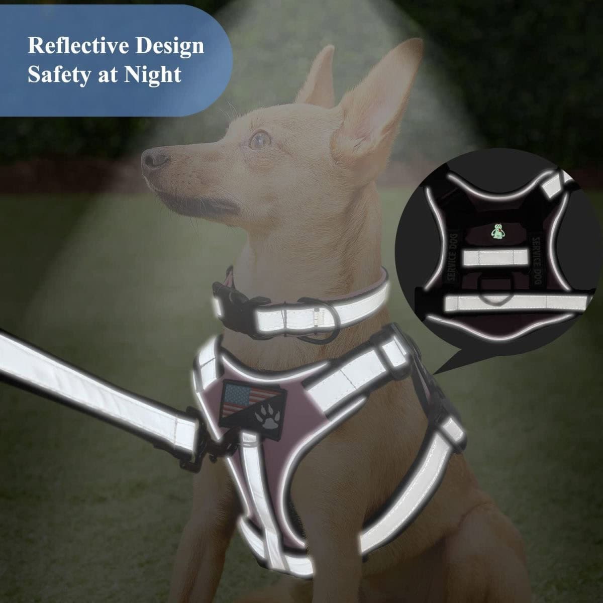 Reflective dog harness with night safety features and LED light for pet visibility; ideal for outdoor walks and nighttime safety at Monalisa Medical.