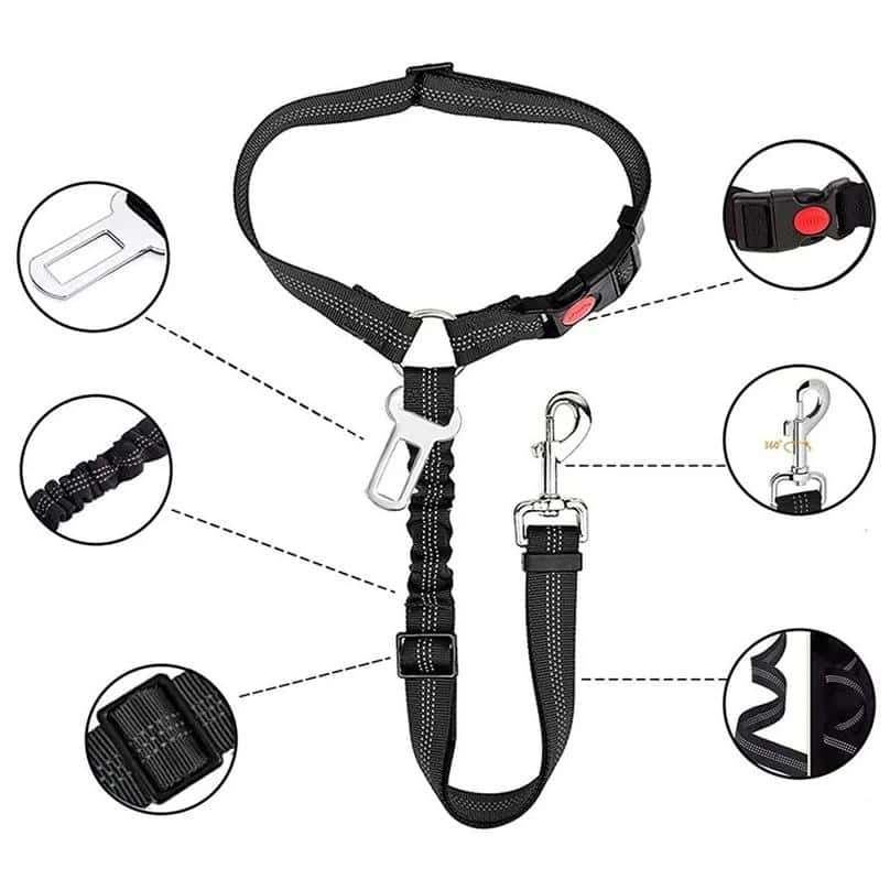 Adjustable pet harness with padded strap, quick-release buckle, and secure metal clip for dog or cat safety. Perfect for walking, training, and outdoor activities.