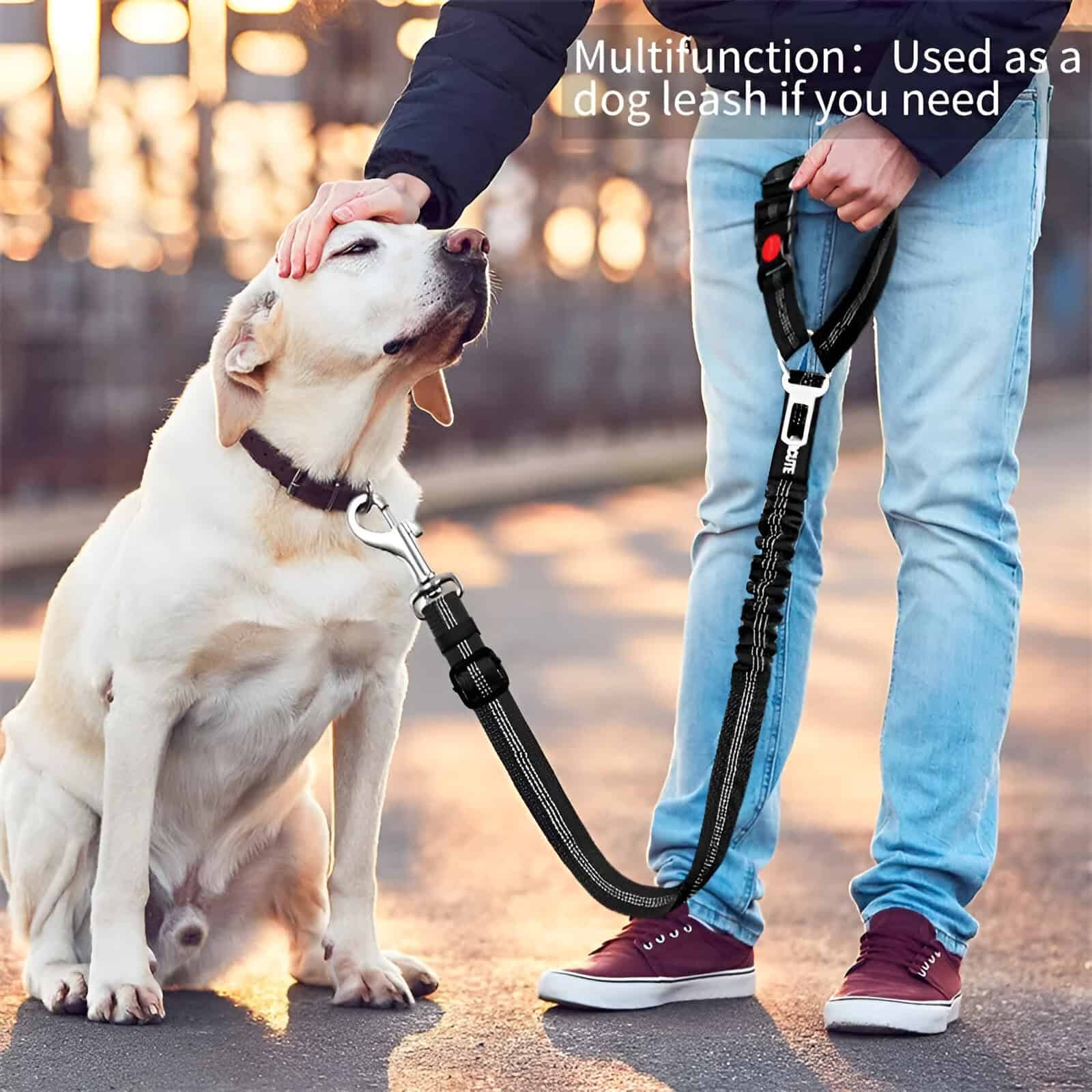 Durable dog leash with multifunctional use for walking, training, and outdoor activities, perfect for pet owners seeking reliable pet accessories at Monalisa Store.