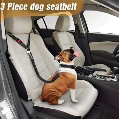 Dog seatbelt harness in car, safety accessory for pets, secure pet travel with adjustable straps, vehicle safety, Monalisa Medical.