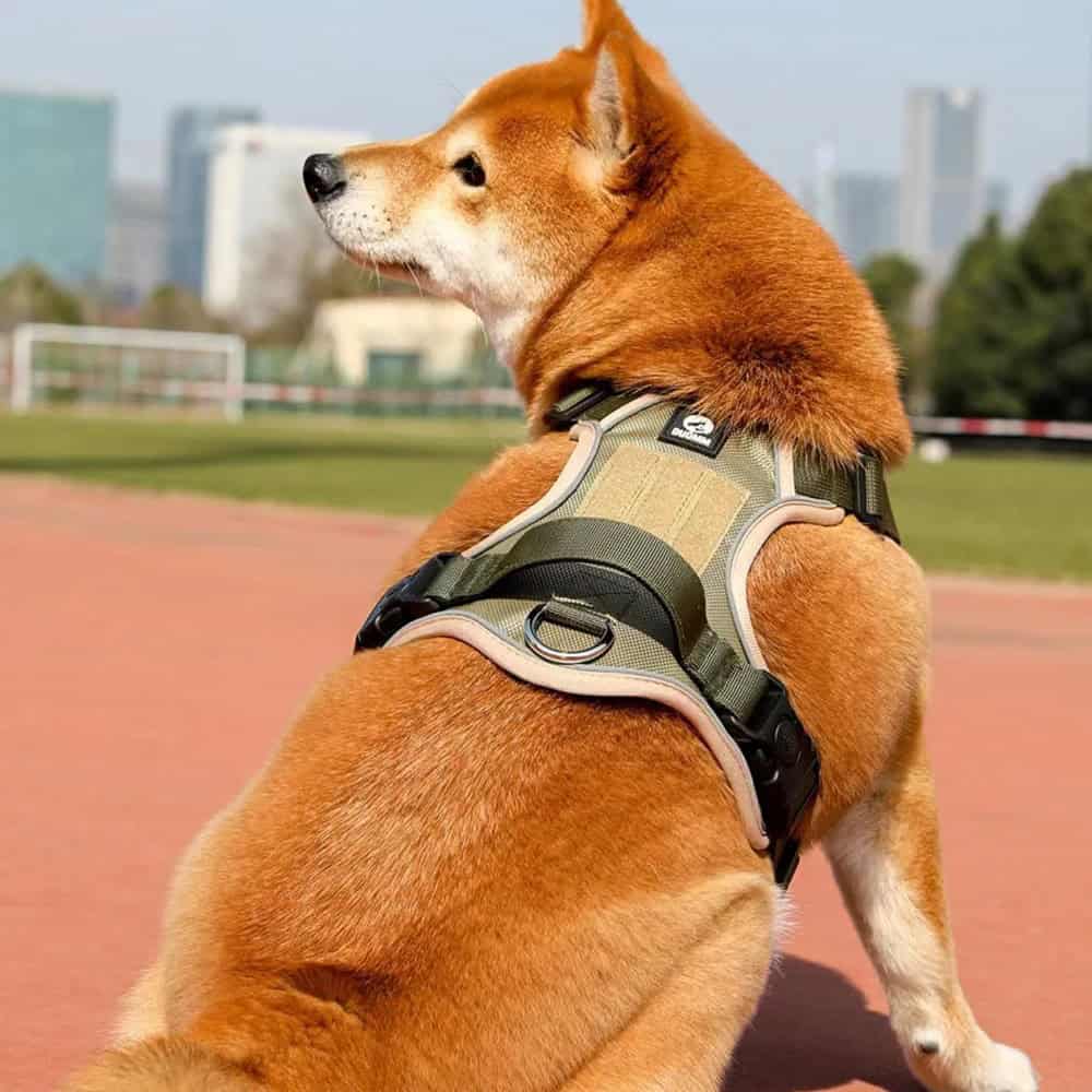 Durable dog harness, comfortable and secure pet harness for training, walking, and outdoor activities, perfect for small to large dogs.